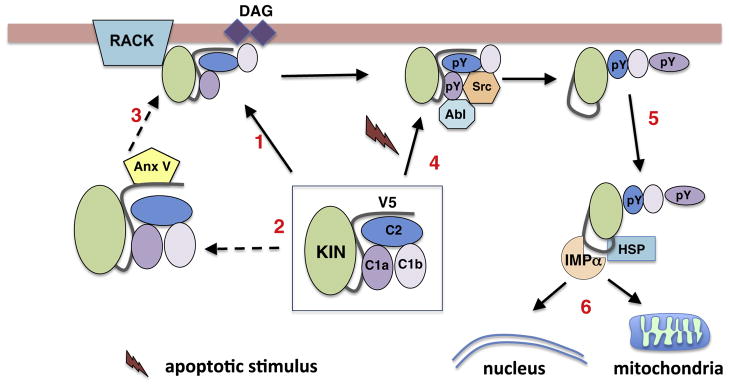 Fig. 2