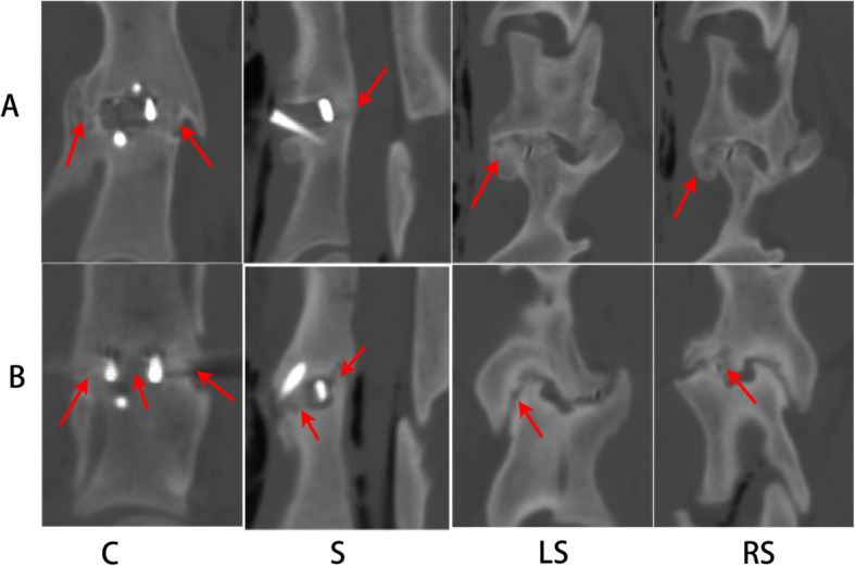 Fig. 6