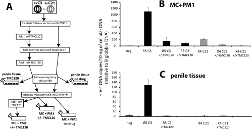 FIG. 7.