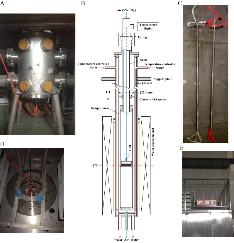 Figure 1.