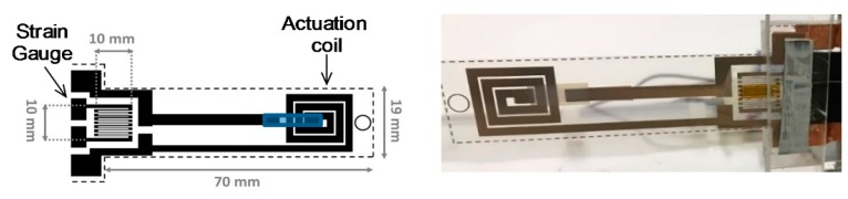 Figure 8