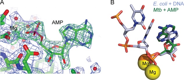 FIGURE 5.