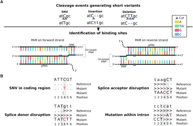 Figure 2.