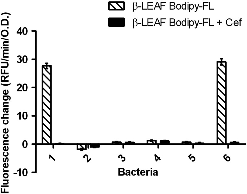 Fig. 11