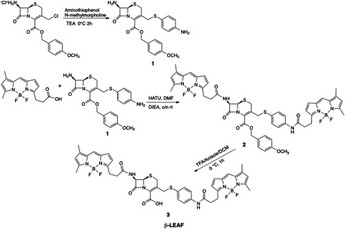 Fig. 3