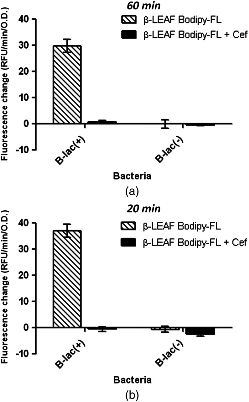 Fig. 10