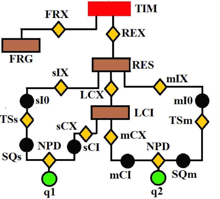 FIGURE 1.