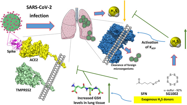 FIGURE 2