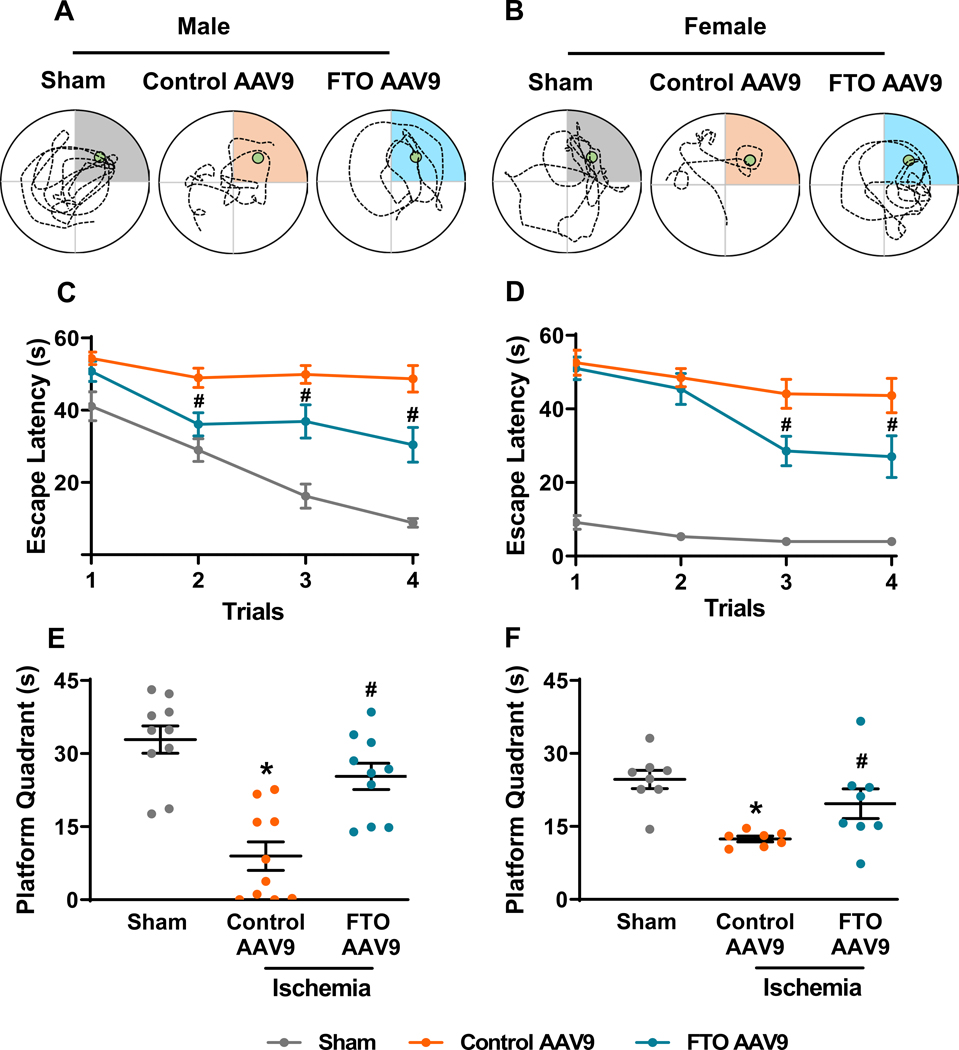 Fig. 4: