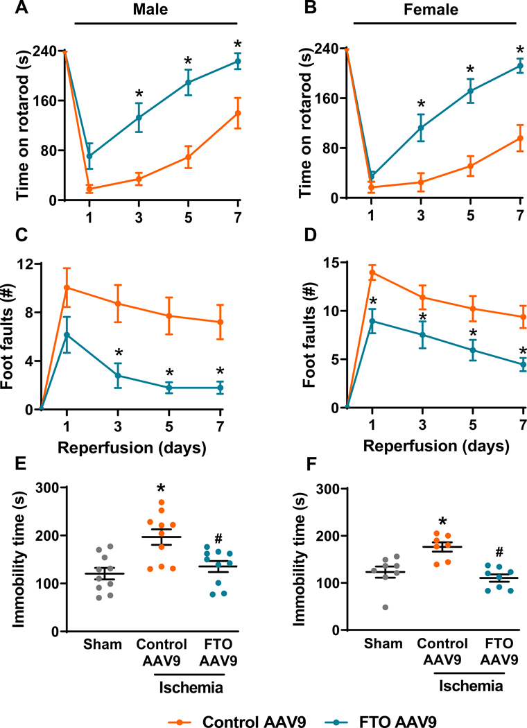 Fig. 3: