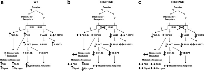 FIG 6