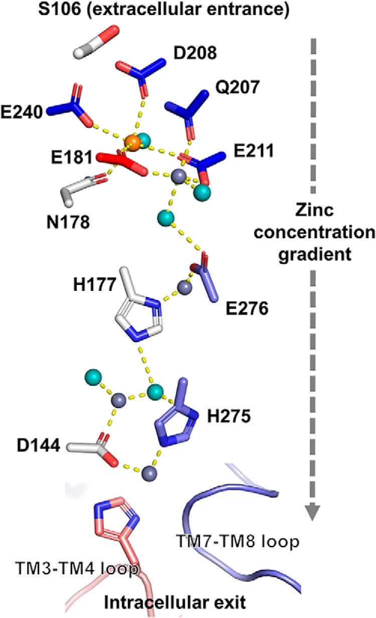 Figure 5.