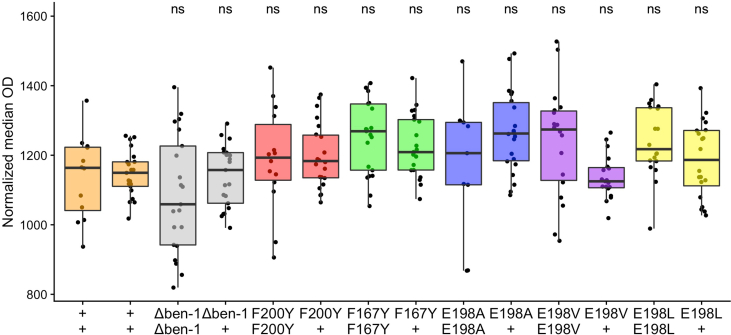 Supplemental Fig. 3