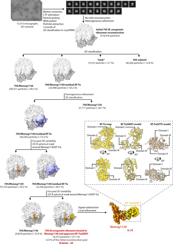 Extended Data Fig. 6