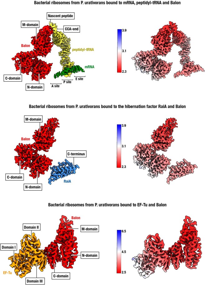 Extended Data Fig. 4