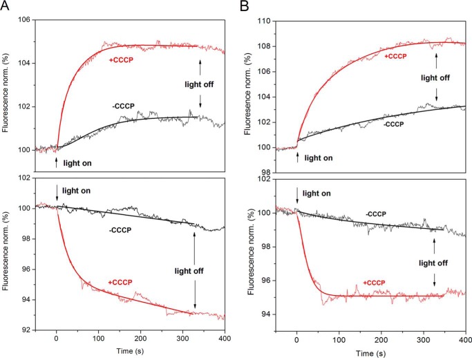 FIGURE 1.