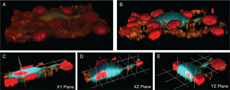 Figure 6.