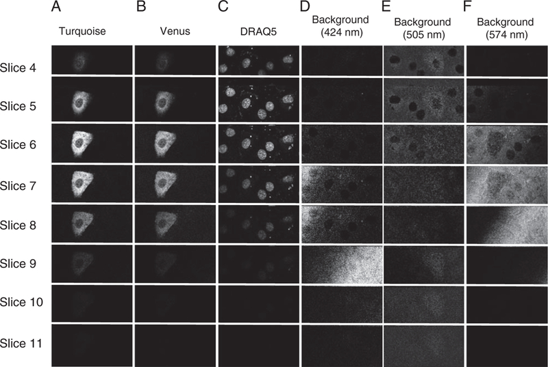 Figure 5.