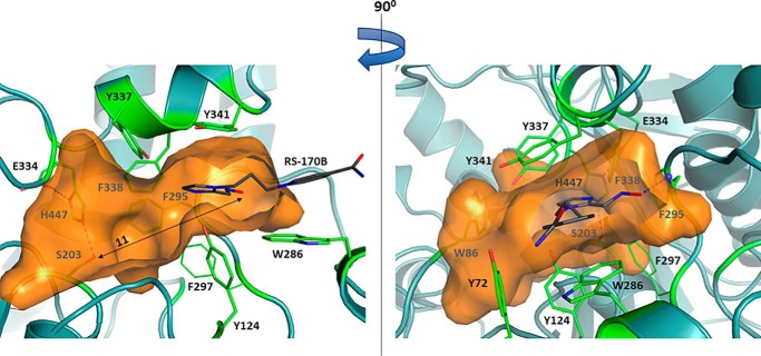 Figure 3.