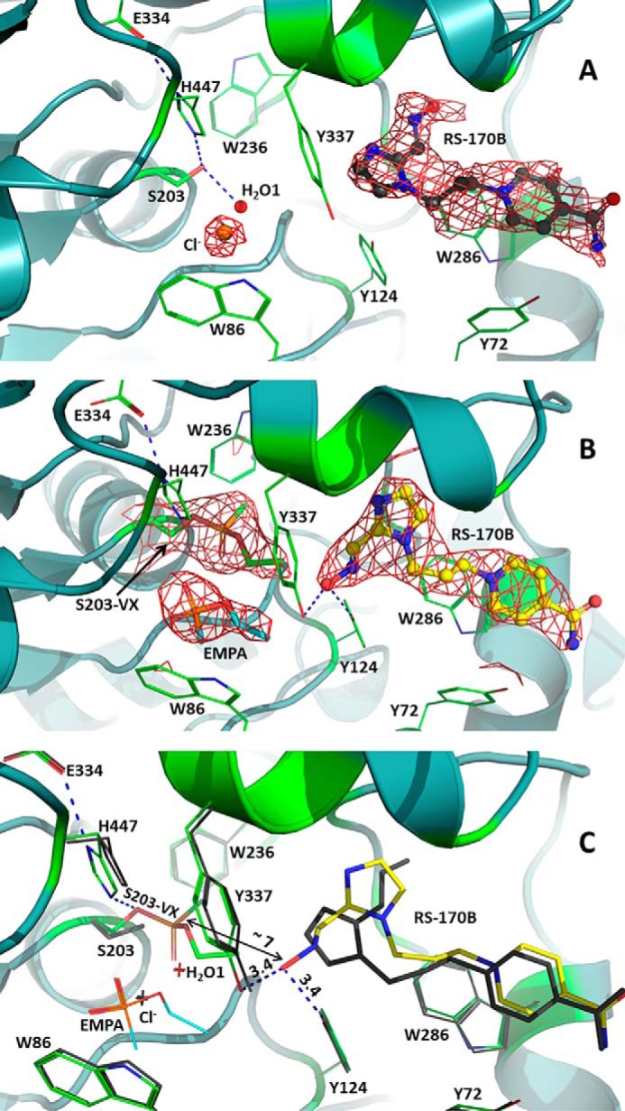 Figure 2.