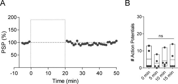 Figure 3—figure supplement 1.