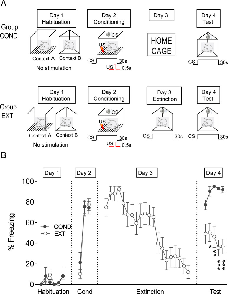 Figure 4—figure supplement 1.