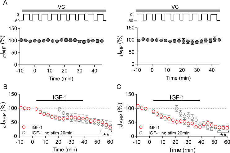 Figure 2—figure supplement 1.