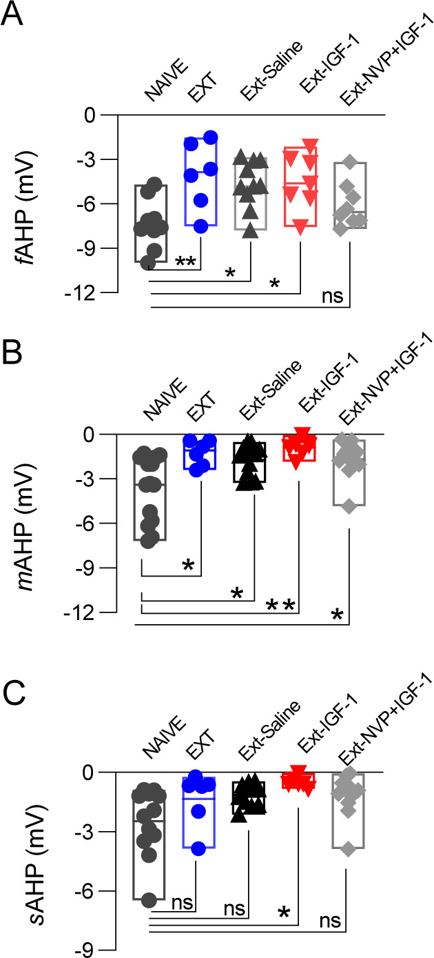 Figure 4—figure supplement 2.