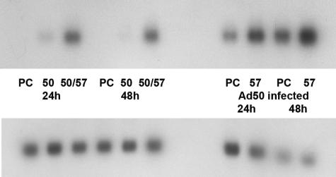 FIG. 7.