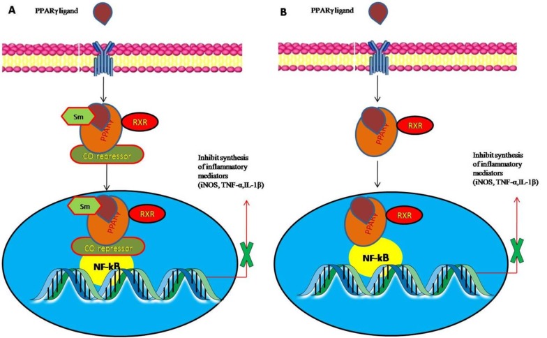 Fig. (2)