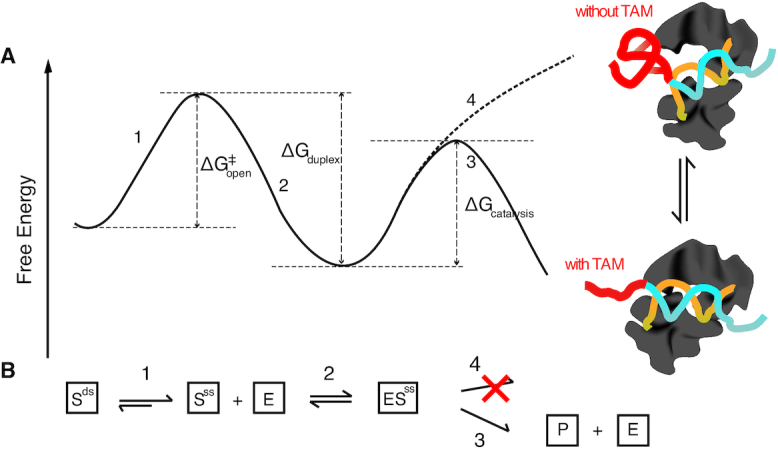 Figure 8.