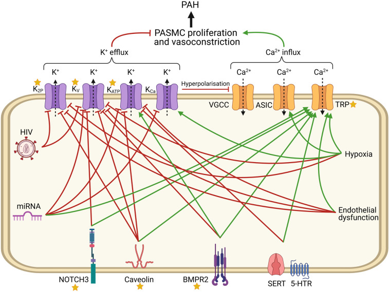 Figure 1.