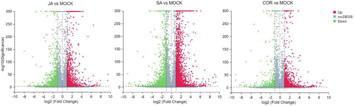 FIGURE 3