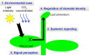 Fig. 4