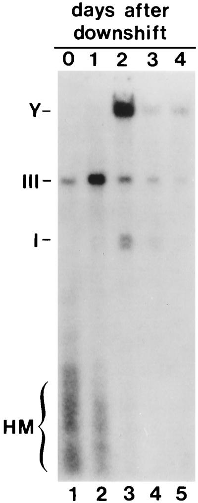FIG. 7