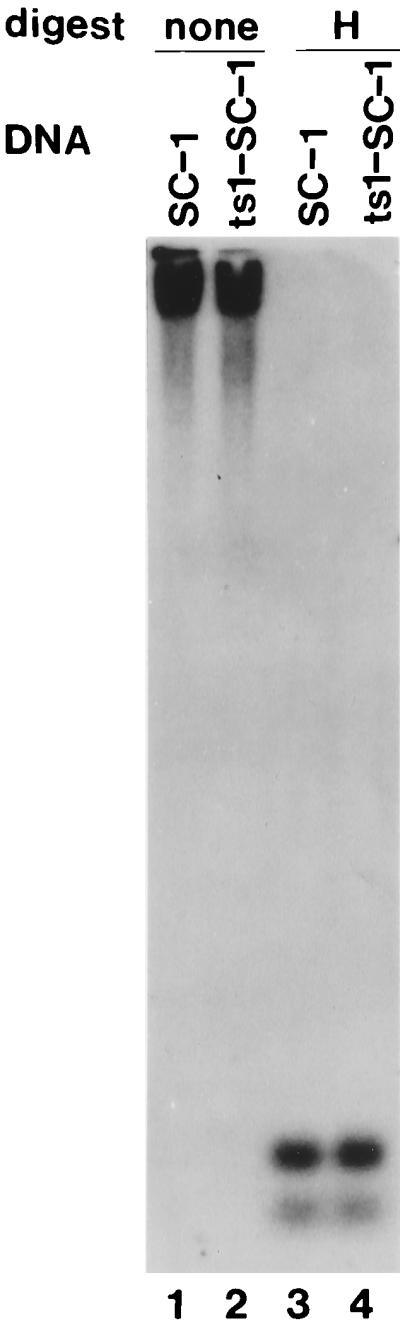 FIG. 6