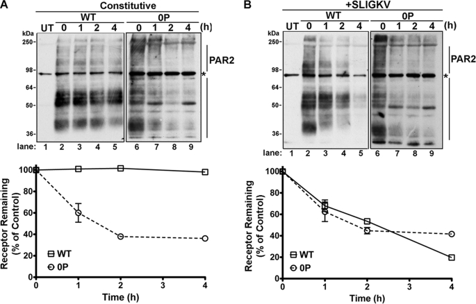 FIGURE 10.