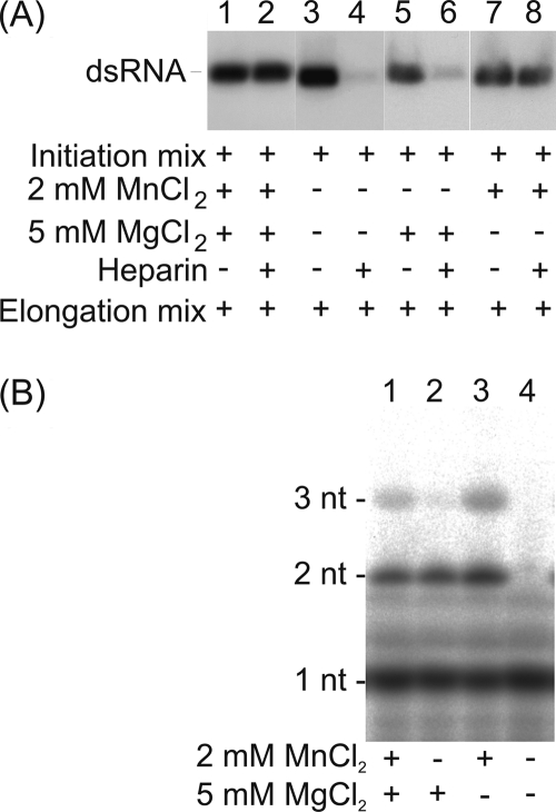 Fig 5