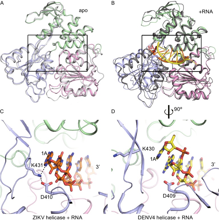 Figure 4