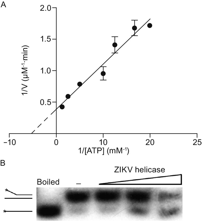 Figure 1