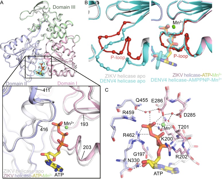 Figure 2