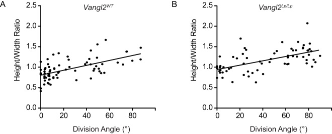 Figure 4—figure supplement 2.