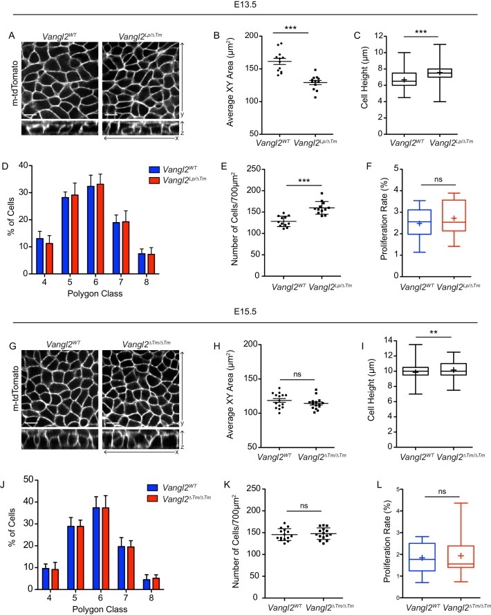 Figure 4—figure supplement 1.