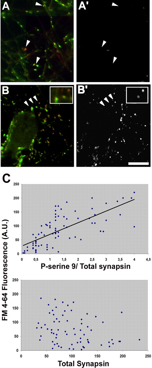 Figure 6.