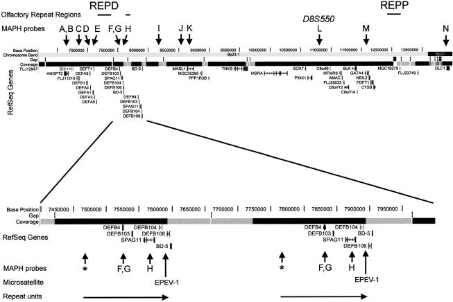 Figure  1