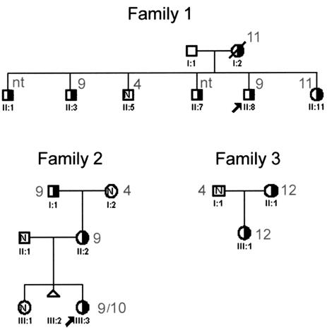 Figure  4