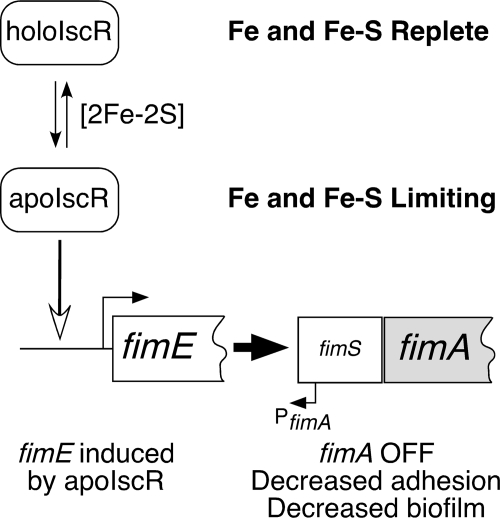 FIG. 8.