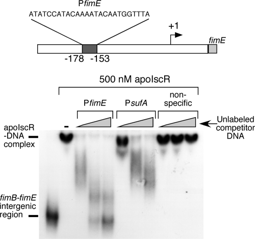 FIG. 7.