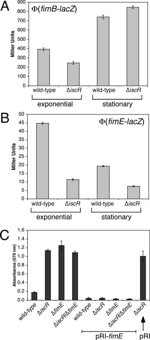 FIG. 6.