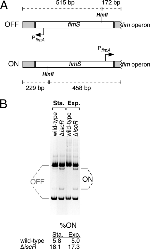 FIG. 5.